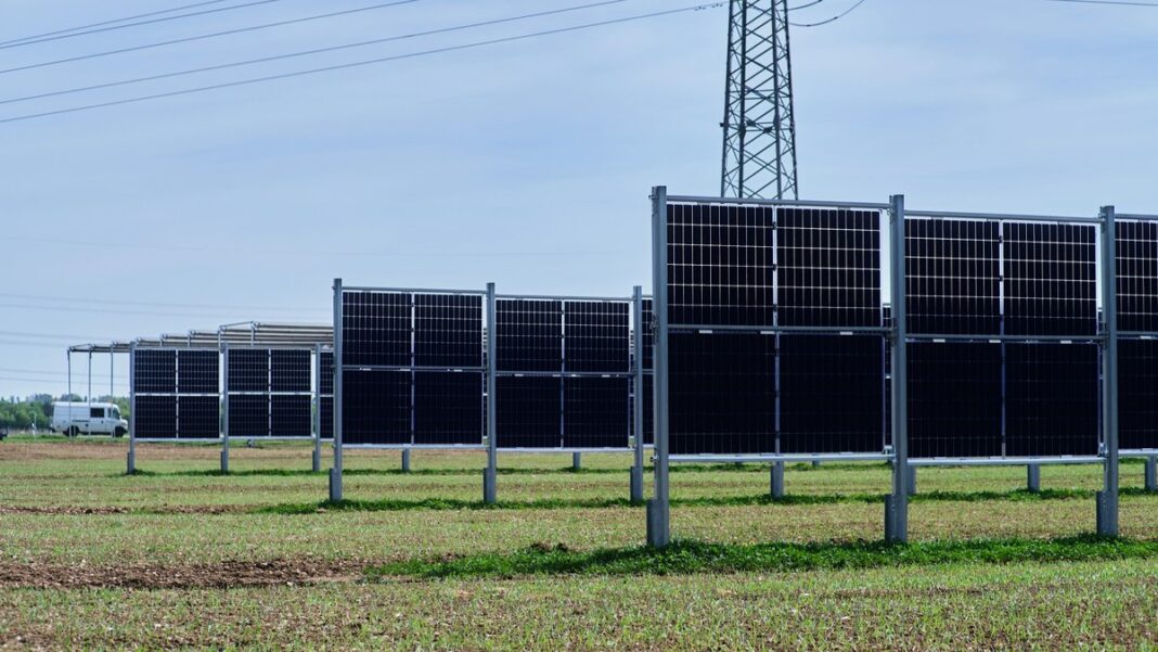Senkrecht aufgestellte Photovoltaikmodule auf einer Wiese, dahinter ein Strommast