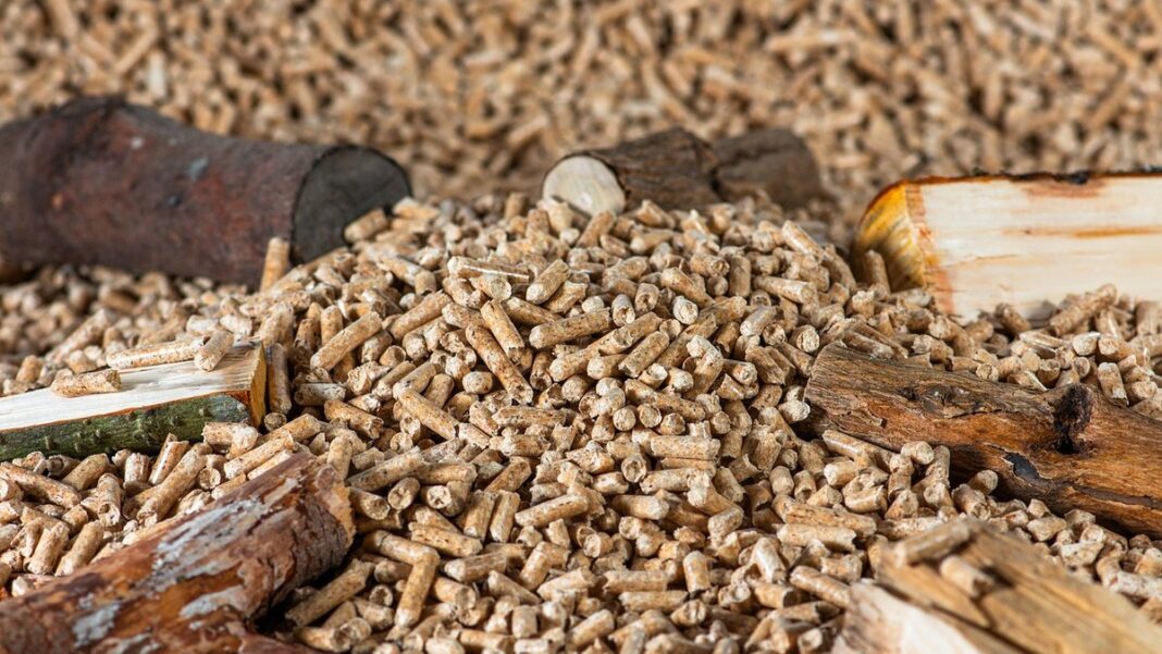 Pellets kaufen: Wann bestellen, wie viel – und warum das Lager kein Abstellraum ist Schüttung heller Holzpellets, dazwischen einzelne Holzscheite